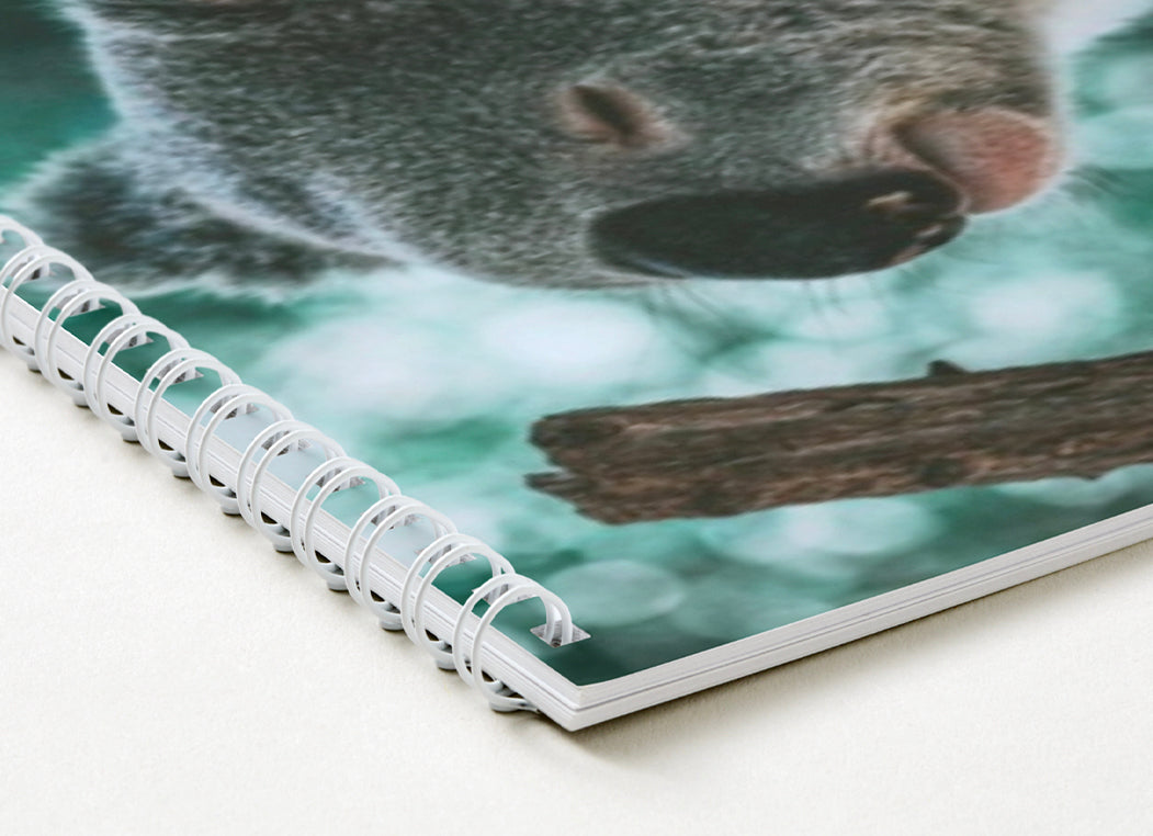 A4 Calendar - Wild Wonders