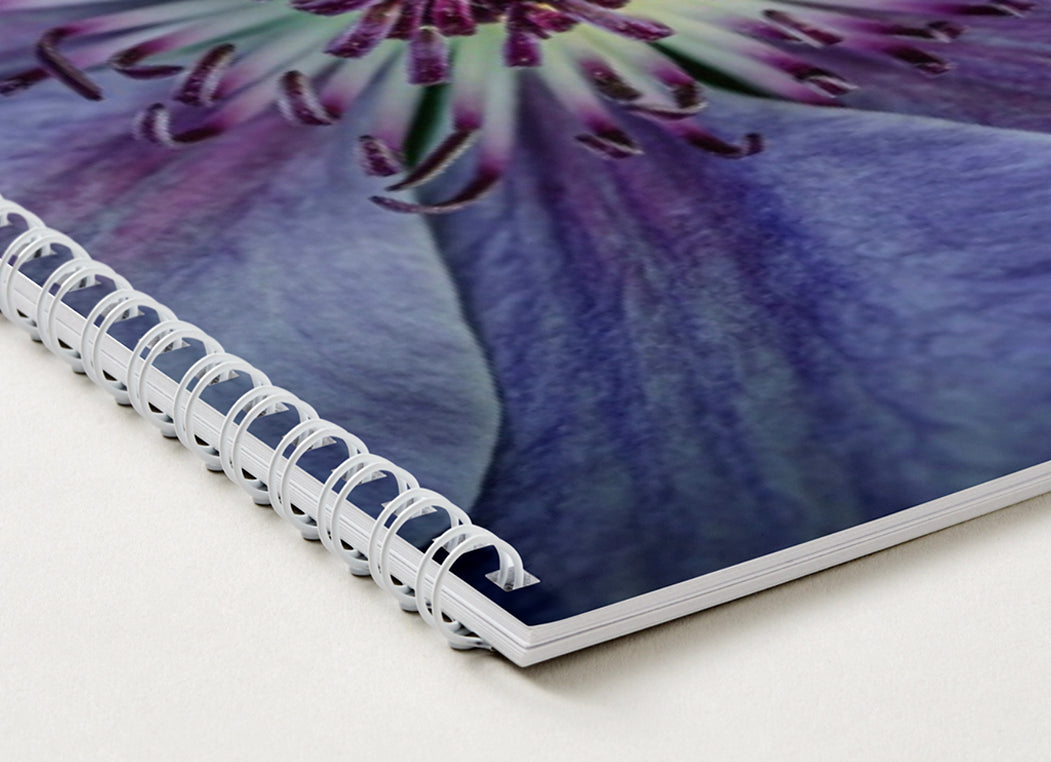 A4 Calendar - Nature in Focus