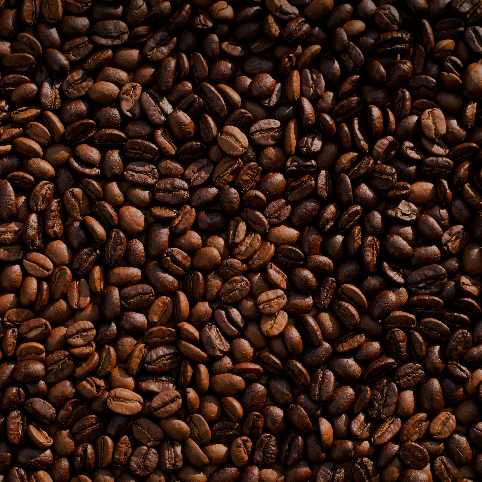 Sereno Coffee Bean 1kg