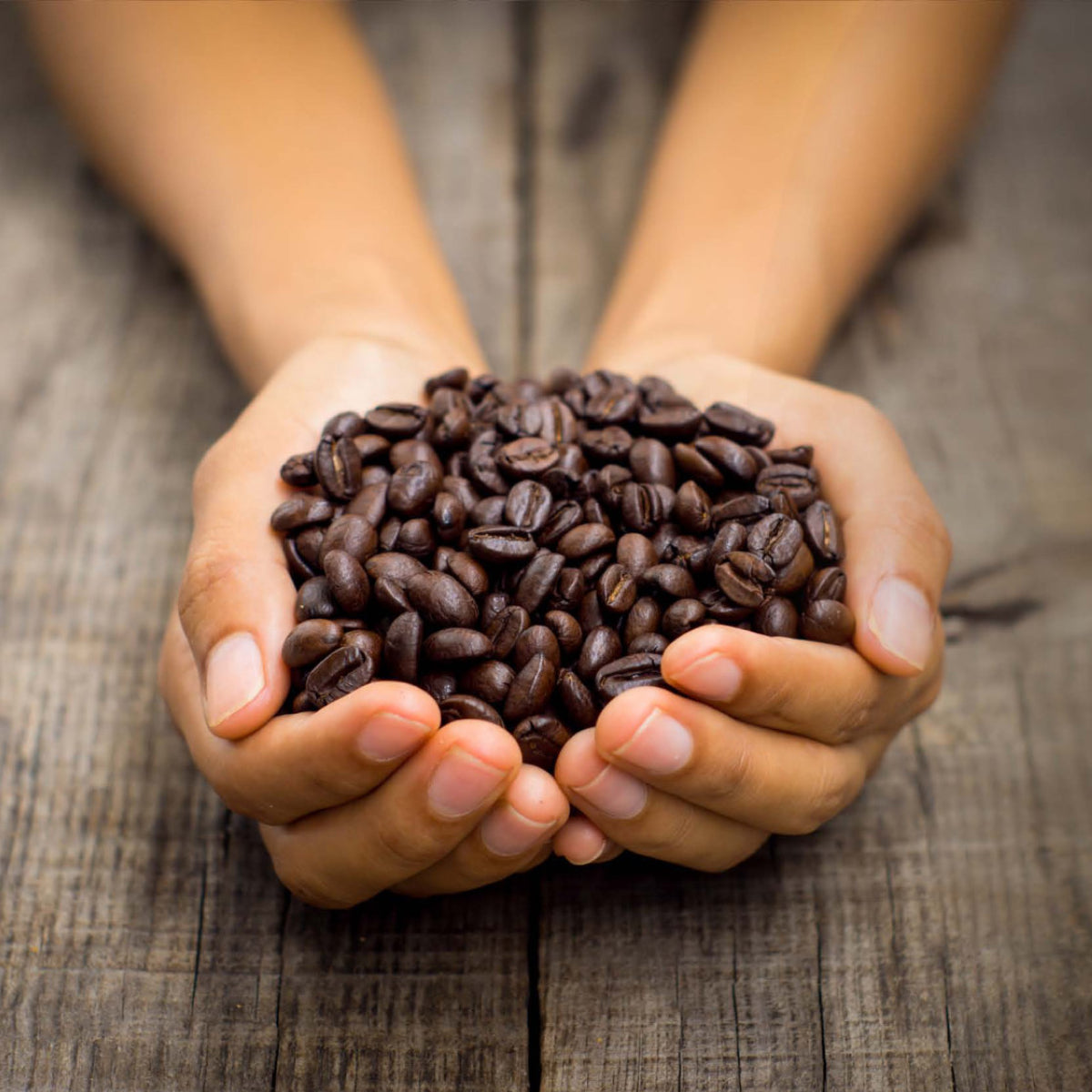 Charity Greeting Cards Pty Ltd